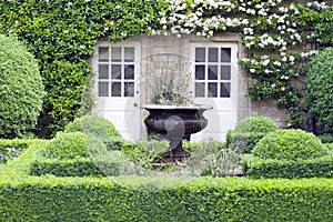 Ornamental flower pot in topiary hedge garden, elegant landscaped .