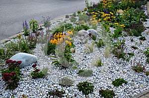 ornamental flowerbed with perennials and stones made of gray granite