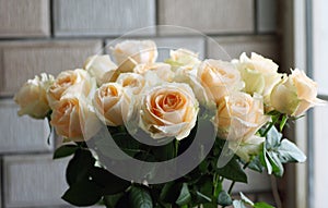 Ornamental Flowers - Charming Champagne Rose.