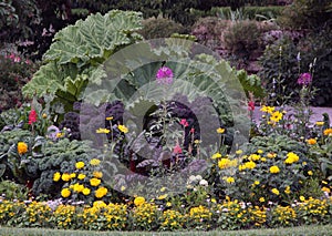 Ornamental flowers garden bed