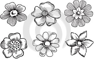 Ornamental Flowers Vector Illustration