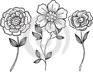 Ornamental Flowers Vector Illustration