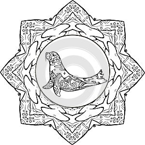 Ornamental Fur seal in yoga pose with double exposure in the form of a landscape. Ornament mandala.
