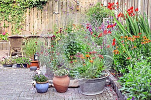 Ornamental garden with colorful plants in flowerbed and wooden table