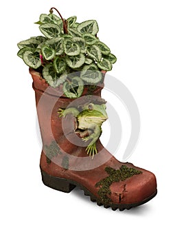 Ornamental Garden wellington boot with drop shadow