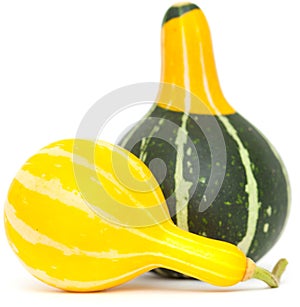 Ornamental gourd