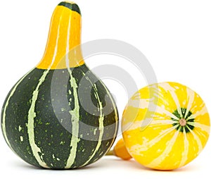 Ornamental gourd