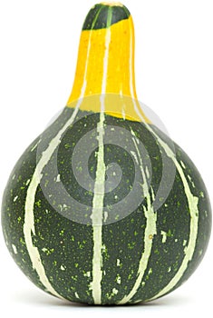 Ornamental gourd