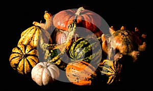 Ornamental gourds, Caravaggio lighting style