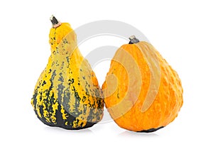 Ornamental Gourds