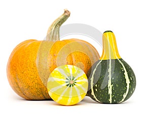 Ornamental gourds and pumpkin