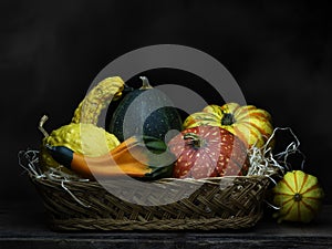 Ornamental gourds, pumpkins, winter squashes in basket. Still life. Chiaroscuro, baroque style light painting.