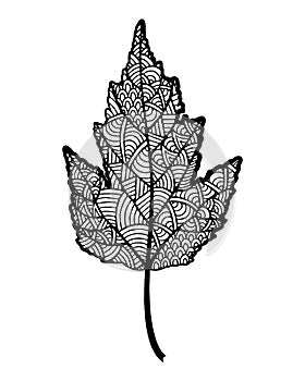 Ornamental leaf art abstrract