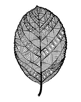 Ornamental leaf art abstrract