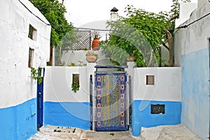 Ornamental painted door and courtyard in the residential areas o