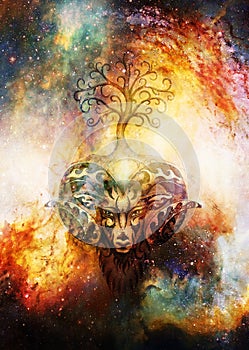 Ornamental painting of Aries, sacred animal symbol and tree of life in cosmic space.