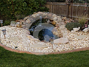 Ornamental pond in garden