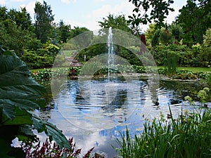 Ornamental pond and water fountain in a garden