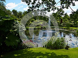 Ornamental pond and water fountain in a garden