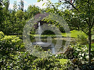 Ornamental pond and water fountain in a garden