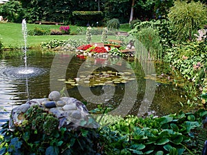Ornamental pond and water fountain in a garden