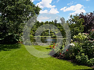 Ornamental pond and water fountain in a garden