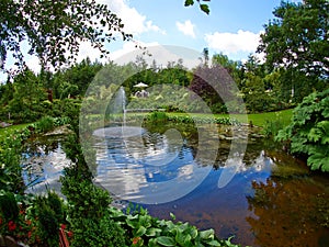 Ornamental pond and water fountain in a garden