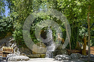 Ornamental pool in the park