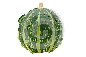 Ornamental pumpkin