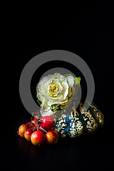 Ornamentale zucca frutti di bosco un fioritura cavolo 