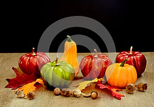 Ornamental pumpkins display harvest