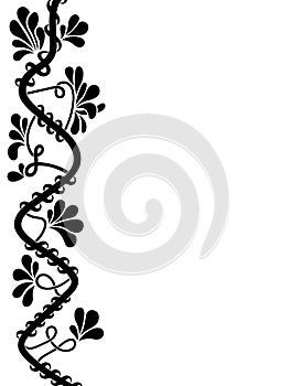 Ornamental side border with floral elements and swirls