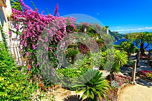 Ornamental suspended garden,Rufolo garden,Ravello,Amalfi coast,Italy,Europe