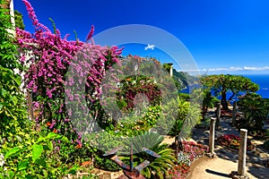 Ornamental suspended garden,Rufolo gardens,Ravello,Amalfi coast,Italy,Europe photo
