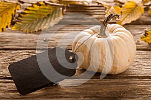 Ornamental white gourd with a wooden tag