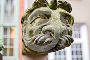 Ornaments, moldings, gargoyle, low reliefs in a sandstone, granite, concrete. sculpting details in Gdansk Danzig.