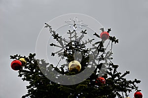 Ornaments on a snowy spruce tree. big balls in the background of spruce forest, for Christmas greetings. green coniferous twigs ar