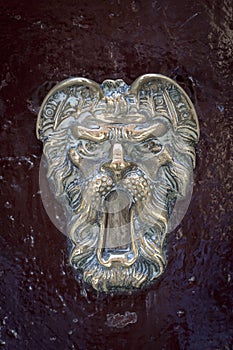 Ornate Antique Door Knocker on Weathered Wood