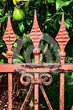 Ornate antique Victorian iron metal garden fence