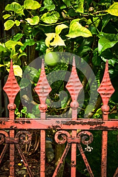 Ornate antique Victorian iron metal garden fence