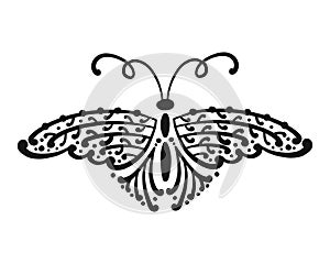 Ornate butterfly for your design