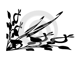 Ornate corner designe