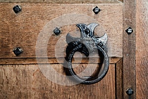 Ornate Door Handle on a Wooden Door