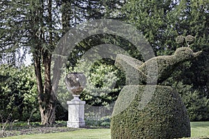Ornate garden topiary