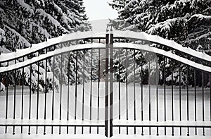 Ornate Gate in Snow