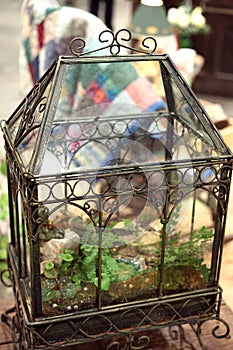 Ornate glass greenhouse