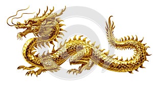 Ornate Golden Chinese Dragon isolated on transparent background