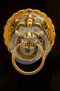 Ornate golden lion head door knocker