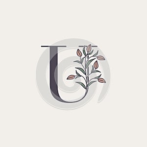 Ornate Initial Letter U logo icon, vector alphabet with flower and natural leaf designs