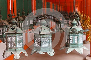 Ornate lanterns at Kasuga Grand Shrine